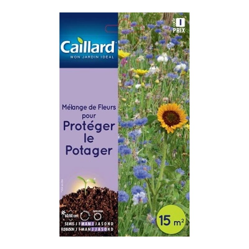Graines mélange de fleurs pour protéger le potager Caillard Fleurs