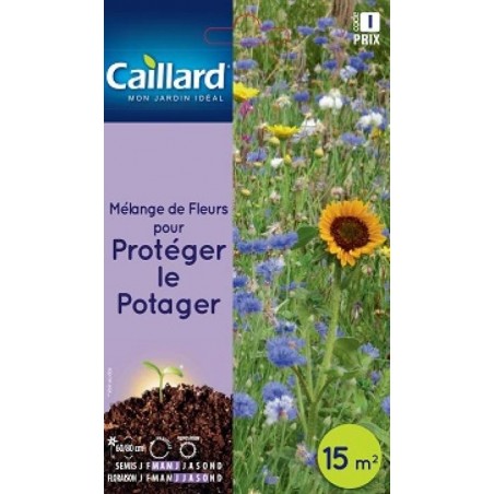 Graines mélange de fleurs pour protéger le potager Caillard Fleurs