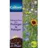 Graines mélange de fleurs pour protéger le potager Caillard Fleurs