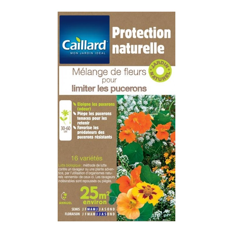 Graines mélange de fleurs pour limiter les pucerons Caillard Fleurs