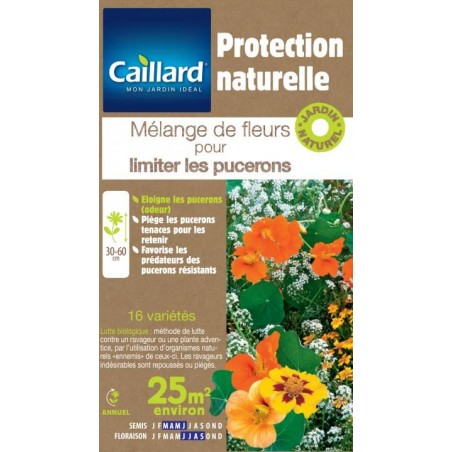 Graines mélange de fleurs pour limiter les pucerons Caillard Fleurs
