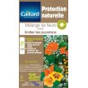 Graines mélange de fleurs pour limiter les pucerons Caillard Fleurs