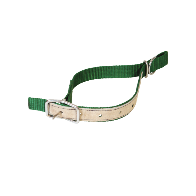 Collier mouton nylon vert Colliers