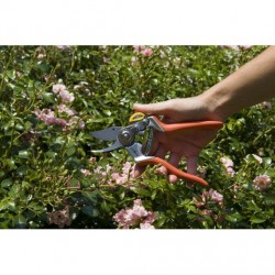 Sécateur coupe franche taille S-M OGAS - Outils Wolf Sécateurs