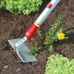 Binette 15cm Multi-Star HWM15 - Outils Wolf Outils interchangeables