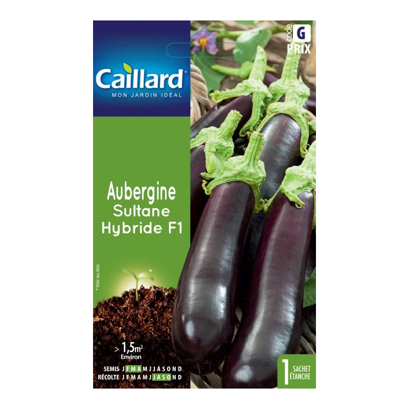 Graines Aubergine Sultane hybride F1 Caillard Légumes