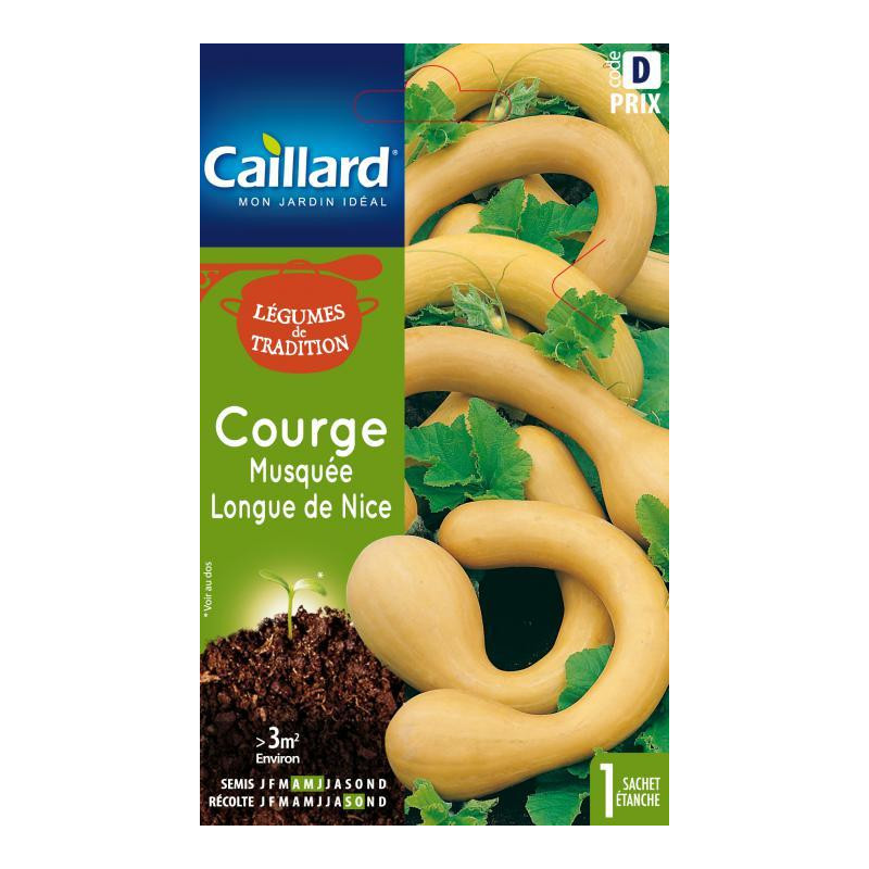 Graines Courge musquée longue de Nice Caillard Légumes
