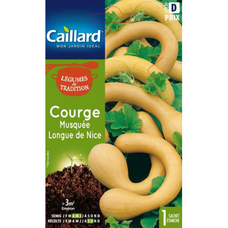 Graines Courge musquée longue de Nice Caillard Légumes