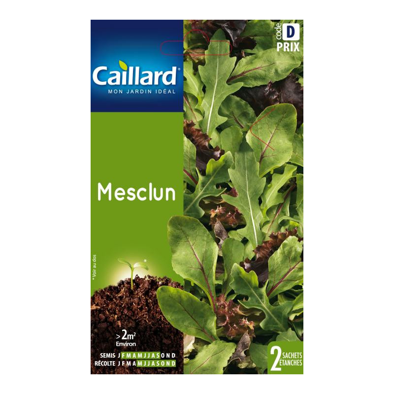 Graines Mesclun Caillard Légumes