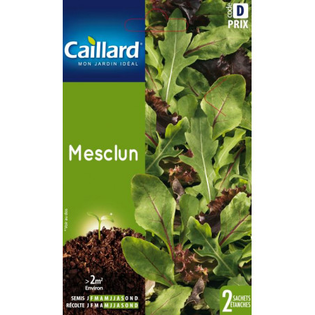 Graines Mesclun Caillard Légumes
