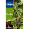 Graines Mesclun Caillard Légumes