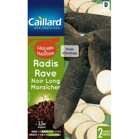 Radis rave noir long maraicher Caillard Légumes