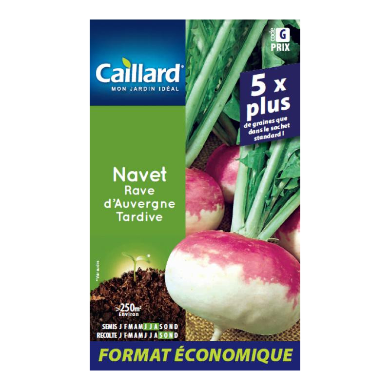 Navet Rave d'Auvergne Tardive Caillard Légumes