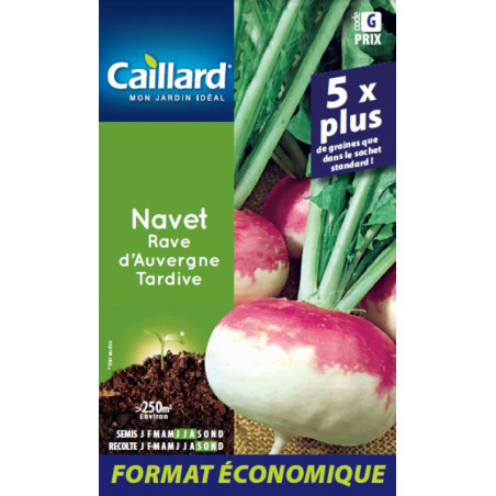 Navet Rave d'Auvergne Tardive Caillard Légumes